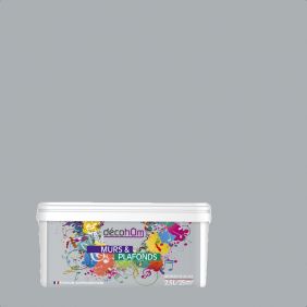 Peinture murale Gris alpage DECOHOM S 2502-B