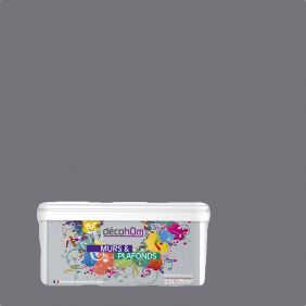 Peinture murale Gris fer DECOHOM S 5005 R-50B