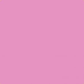 Peinture murale Rose Héliotrope DECOHOM S 1040-R30B