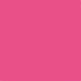Peinture murale Fuschia doux DECOHOM S 1060-R20B