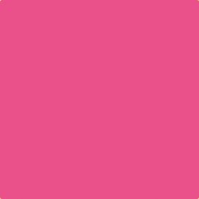 Peinture murale Fuschia doux DECOHOM S 1060-R20B