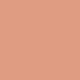 Peinture murale Blush DECOHOM S 2020-Y70R