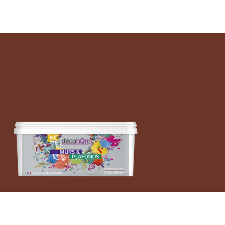 Peinture murale Chocolat chaud DECOHOM S 6020-Y70R