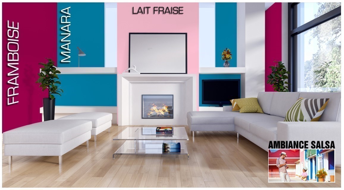 Exemple salon couleur Framboise